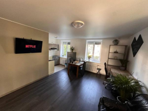 Comfy apartment in the center